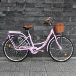 Xe đạp mini nữ đẹp, bền, phù hợp cho học sinh cấp 2 và cấp 3 - Ảnh 2