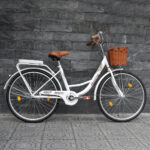 Xe đạp mini nữ đẹp, bền, phù hợp cho học sinh cấp 2 và cấp 3 - Ảnh 6