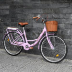 Xe đạp mini nữ đẹp, bền, phù hợp cho học sinh cấp 2 và cấp 3 - Ảnh 9