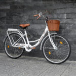 Xe đạp mini nữ đẹp, bền, phù hợp cho học sinh cấp 2 và cấp 3