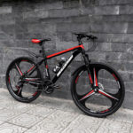 Xe đạp thể thao, xe đạp địa hình Minguinova